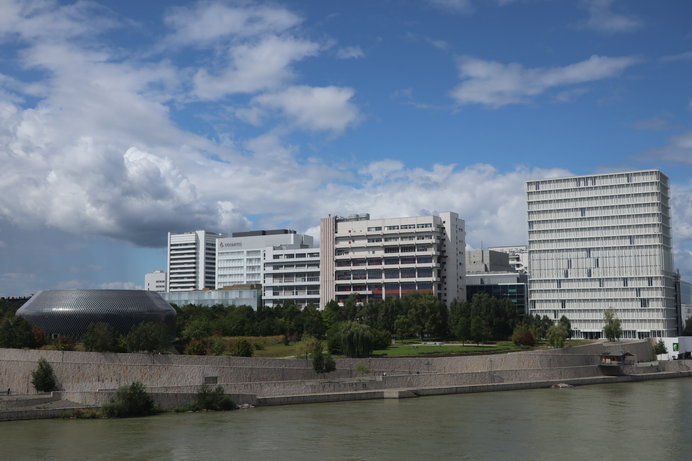 Novartis Business Overview Mergr