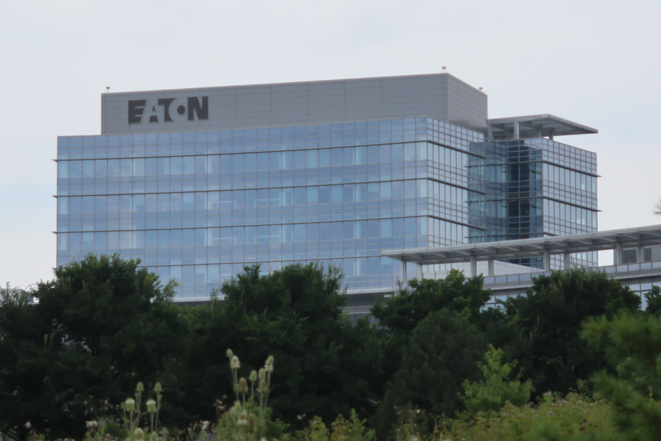 Eaton Business Overview Mergr